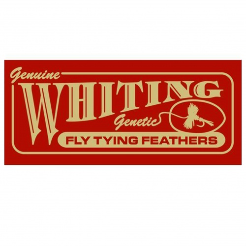 Whitling
